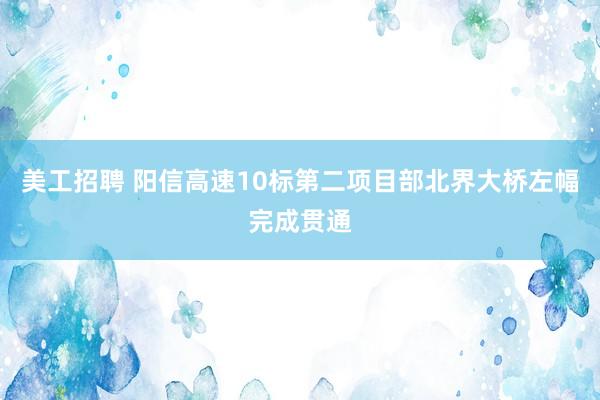 美工招聘 阳信高速10标第二项目部北界大桥左幅完成贯通