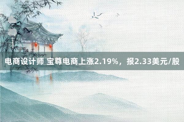 电商设计师 宝尊电商上涨2.19%，报2.33美元/股